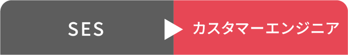SESからITコンサルタントへ