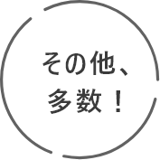 その他、多数
